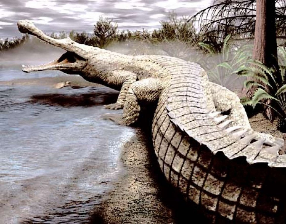 Саркозух. Не путайте с дейнозухом.