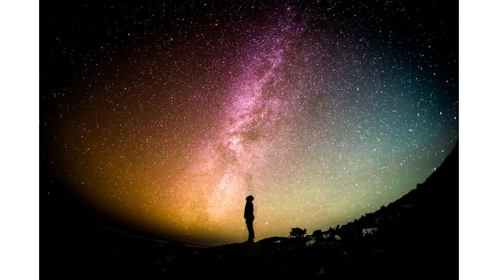    Фото: greg rakozy / unsplash.com