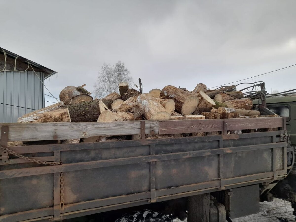   Фото: Комлесхоз МО