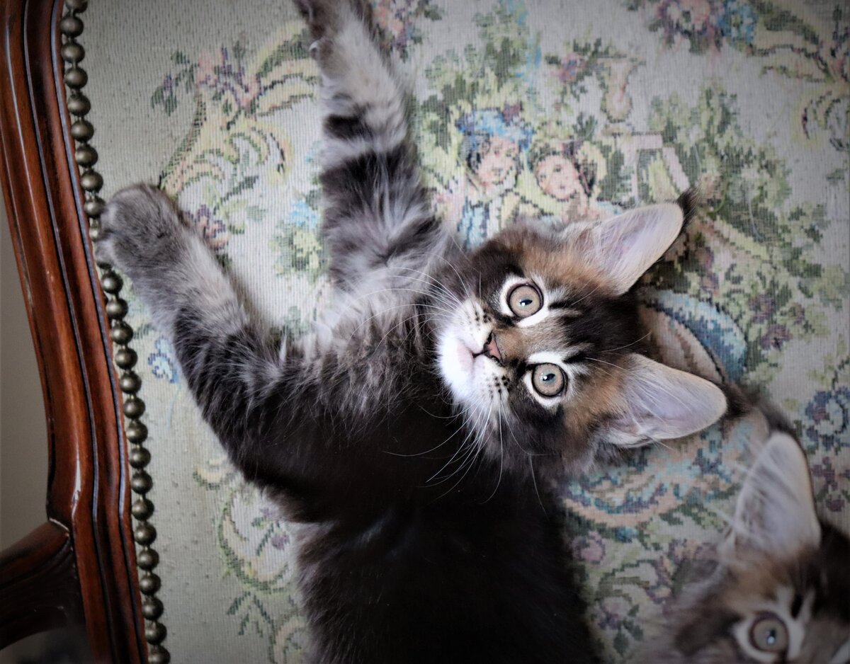 Фото из личного архива.