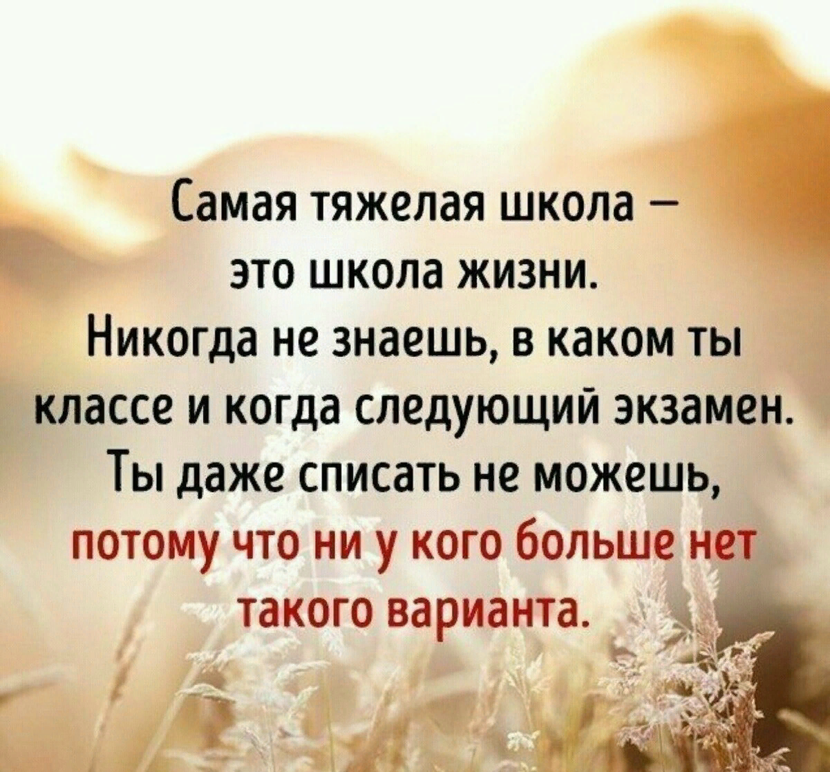 Цитаты в прозе. Афоризмы о жизни и жизненных ценностях. Мудрость жизни. Хорошие слова про жизнь. Высказывания о тяжелой жизни.