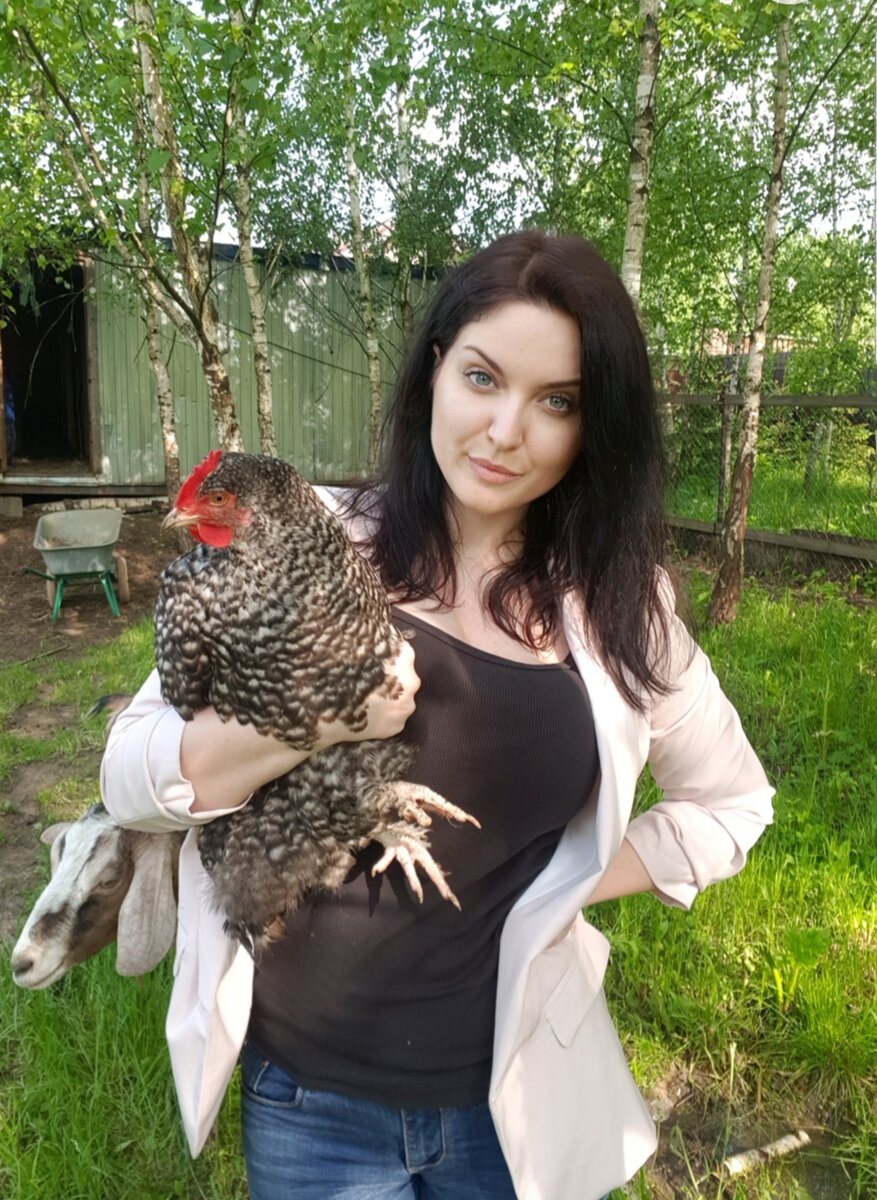 Всем видом показывает, как такое сравнение обидно)) Бобик породы Малин. 
