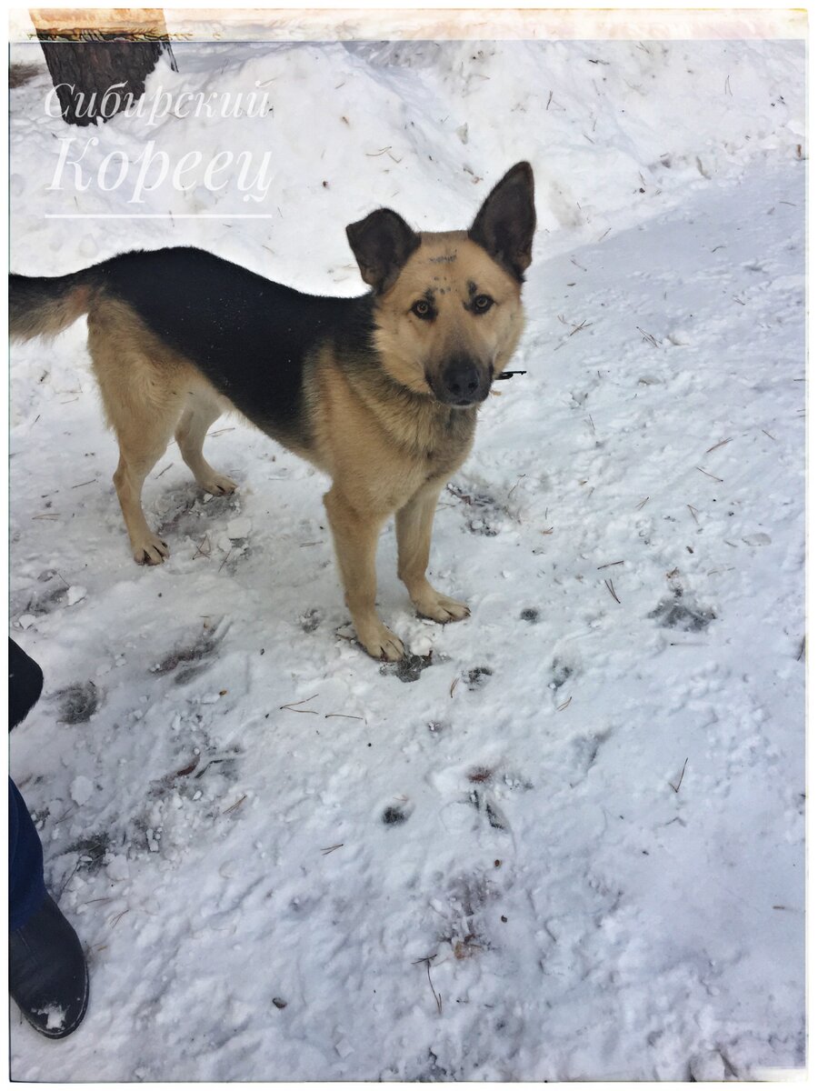 Пирату 5 лет 