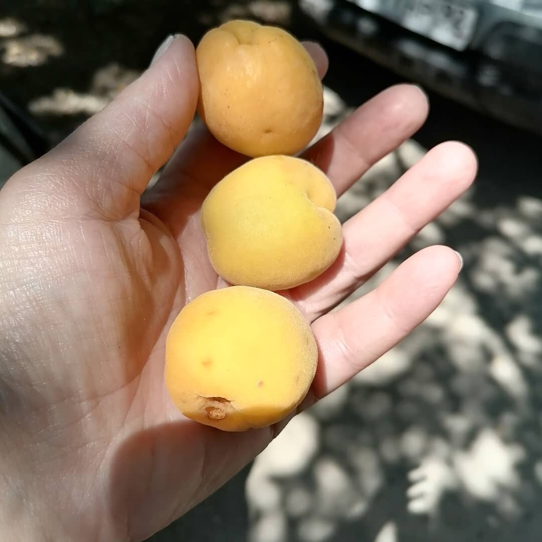 фото автора, листайте вправо