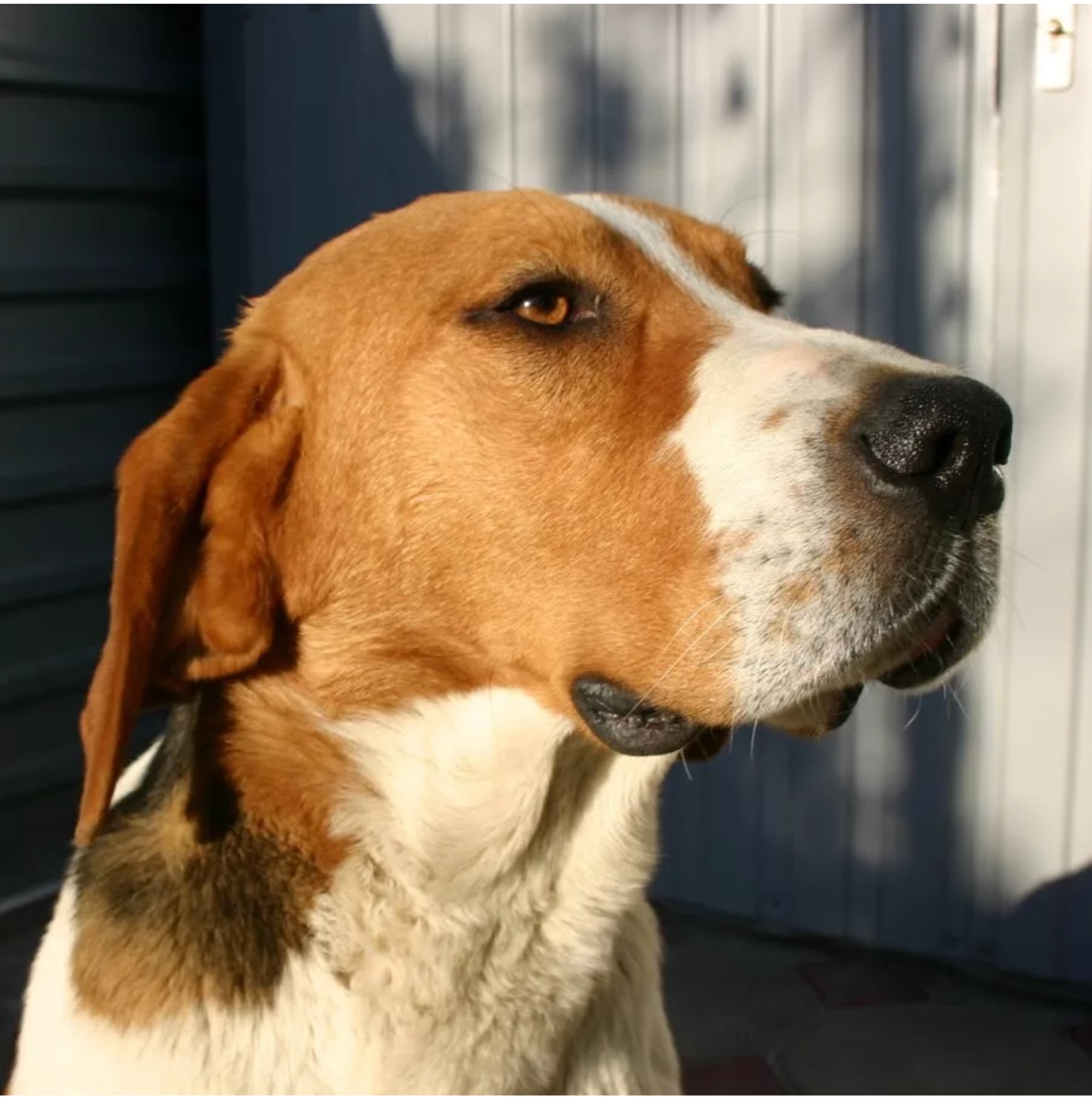 Картинка из Яндекс галереи.