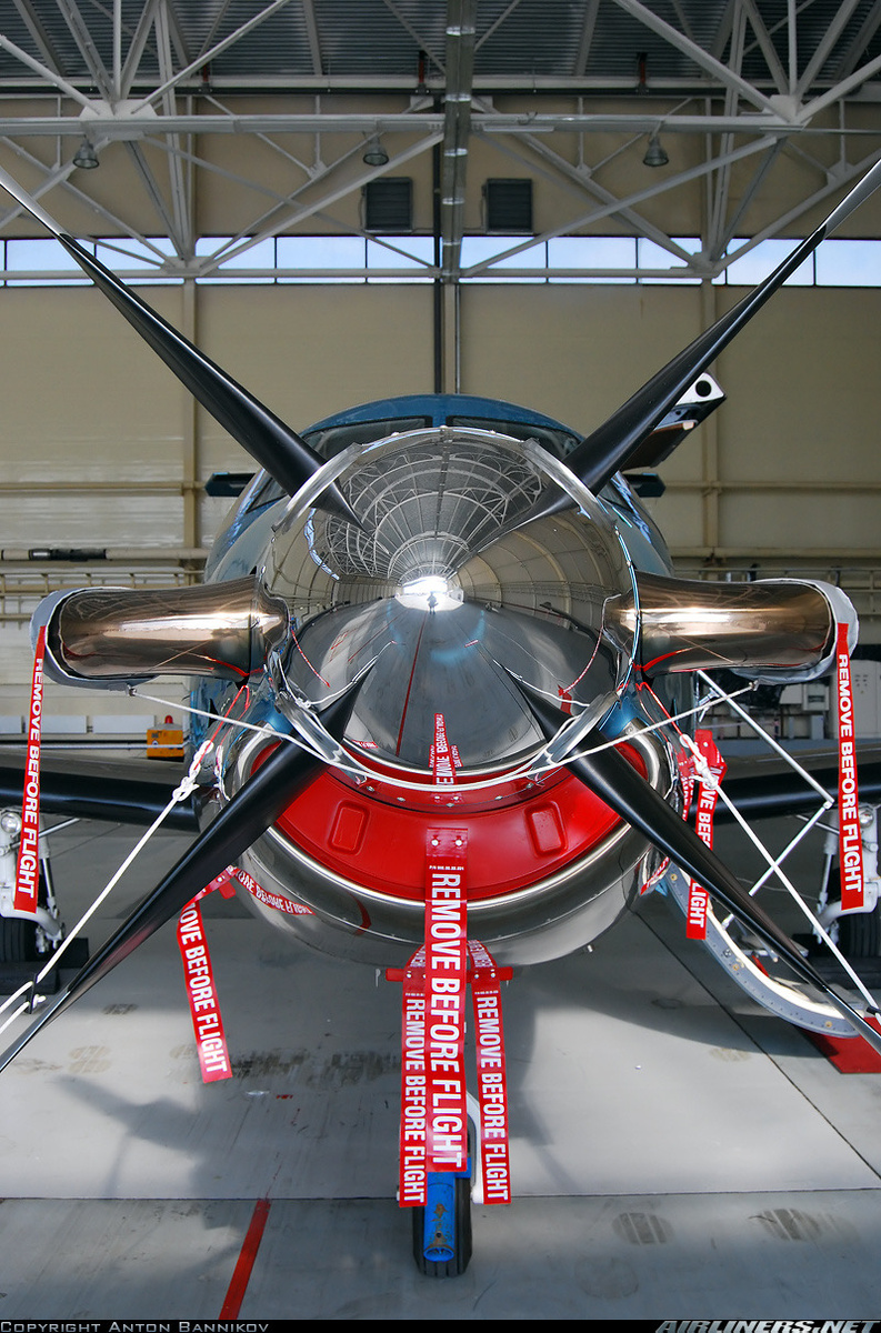 Это не блажь, это необходимость. Фото by Anton Bannikov from Airliners.net