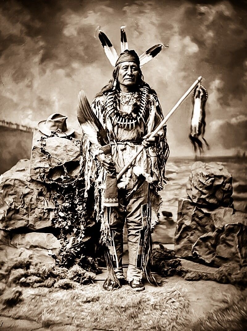 Трофей индейца 6. Индейцы Северной Америки Сиу. Сиу индейцы воин. Индейцы племени арикара. Индейцы Сиу Дакота.