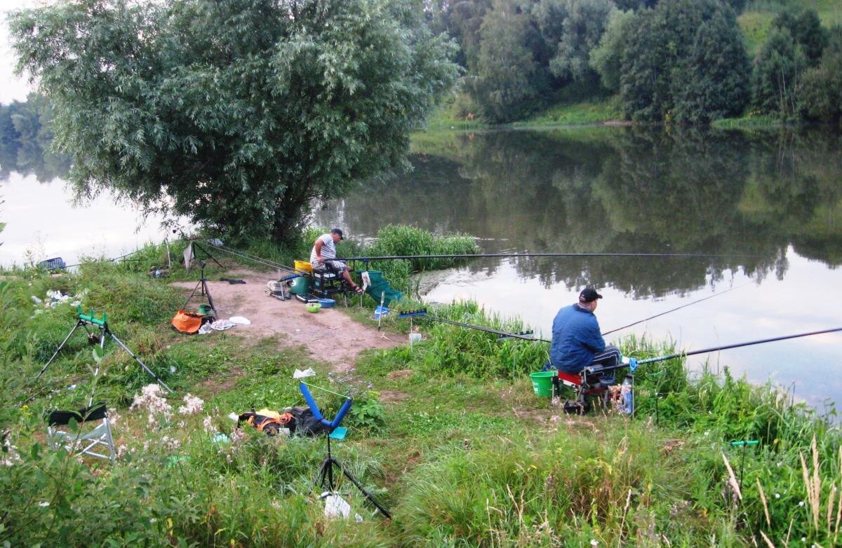 Мое любимое рыболовное место на Москва-реке