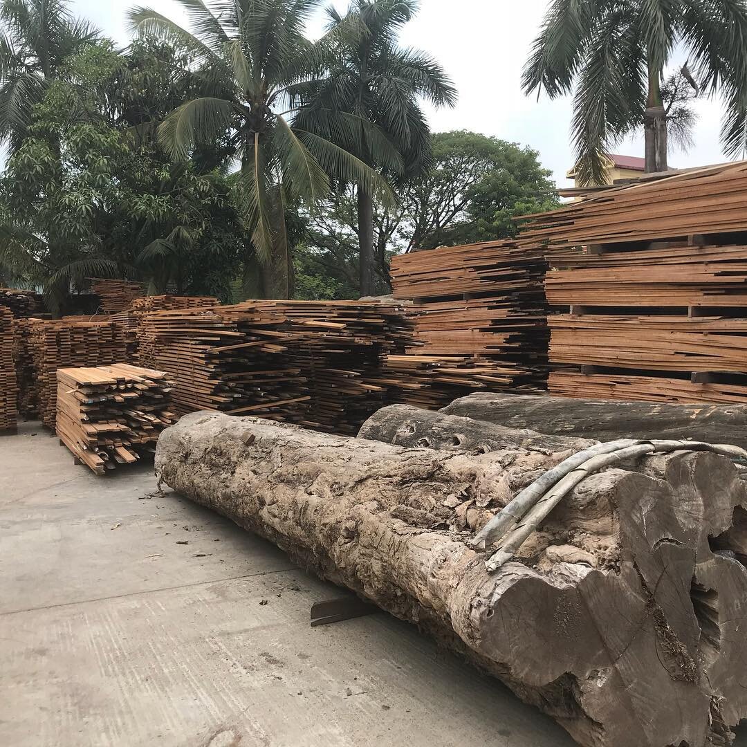 Тик фото Древесина.ру