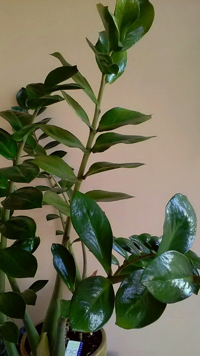 Все фото автора