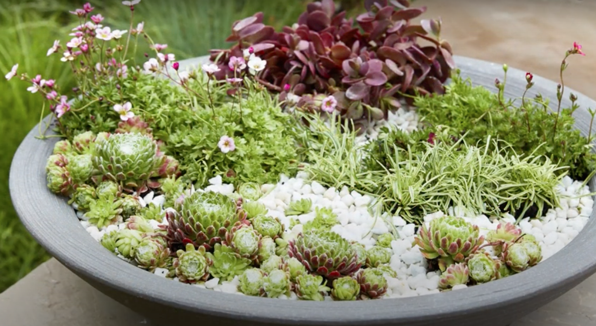 Фото: youtube.com