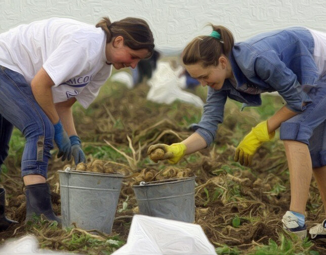 Фото с просторов интернета