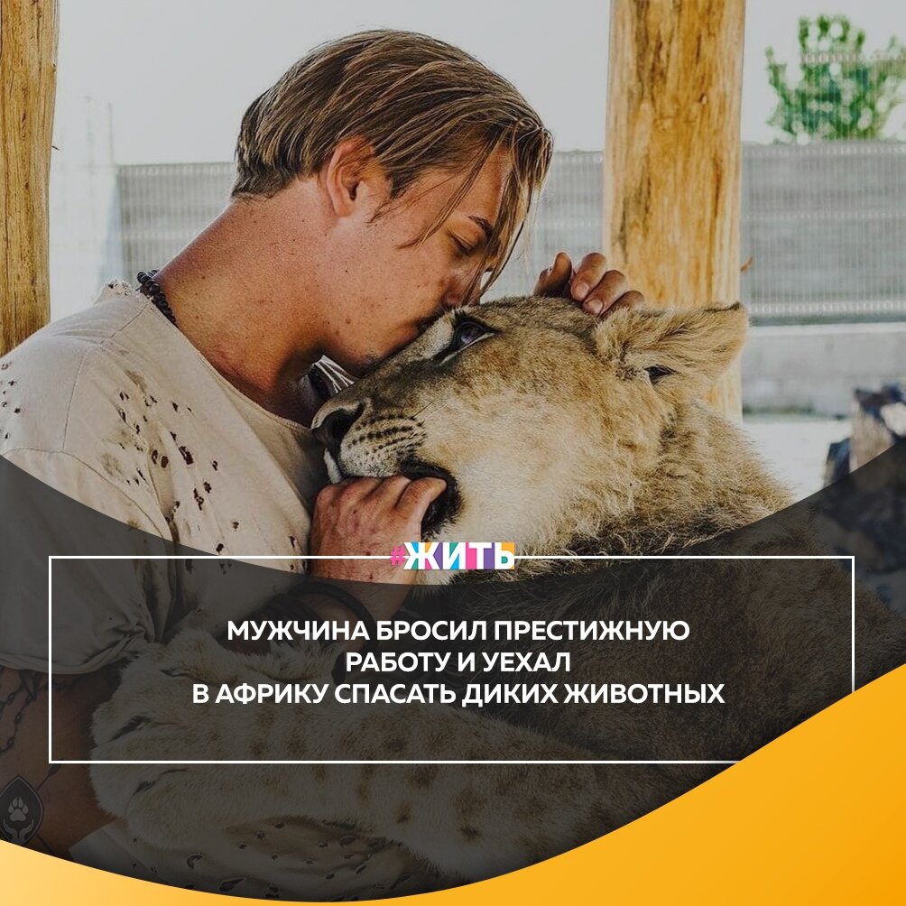 Сегодня, мы расскажем Вам об одном замечательном человеке😌 
Мужчина в один миг круто изменил свою жизнь. Он бросил высокооплачиваемую работу и отправился в Африку спасать диких животных☝

Несмотря на финансовую стабильность и достойное положение в обществе, он чувствовал себя не на своём месте. С детства интересовался природой и мечтал спасать беззащитных животных☺

Он решил, что пора послушать своё сердце и отправился на другой континент. Там молодой человек основал заповедник для зверей, которые пострадали от рук браконьеров☝

Спасибо за Ваше доброе сердечко❤

#жить #проектжить