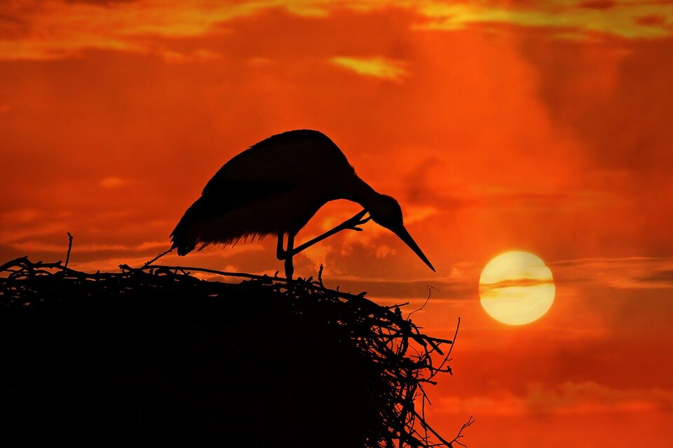 pixabay.com/