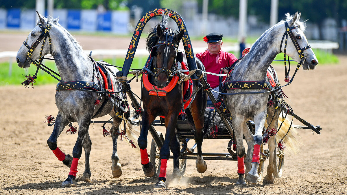 Михаил Воскресенский/Sputnik 