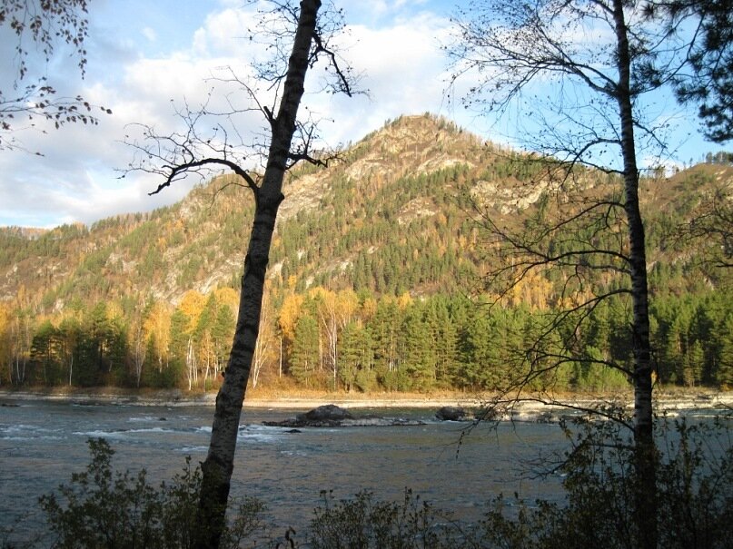 Берег реки Катунь в Горнем Алтае. Все фото сделаны мною