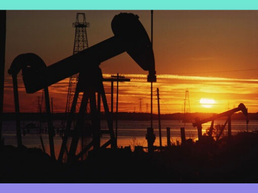 Фото из открытых источников.