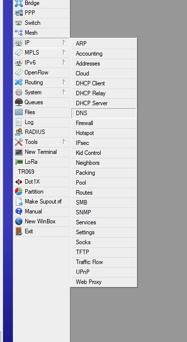 ip->DNS