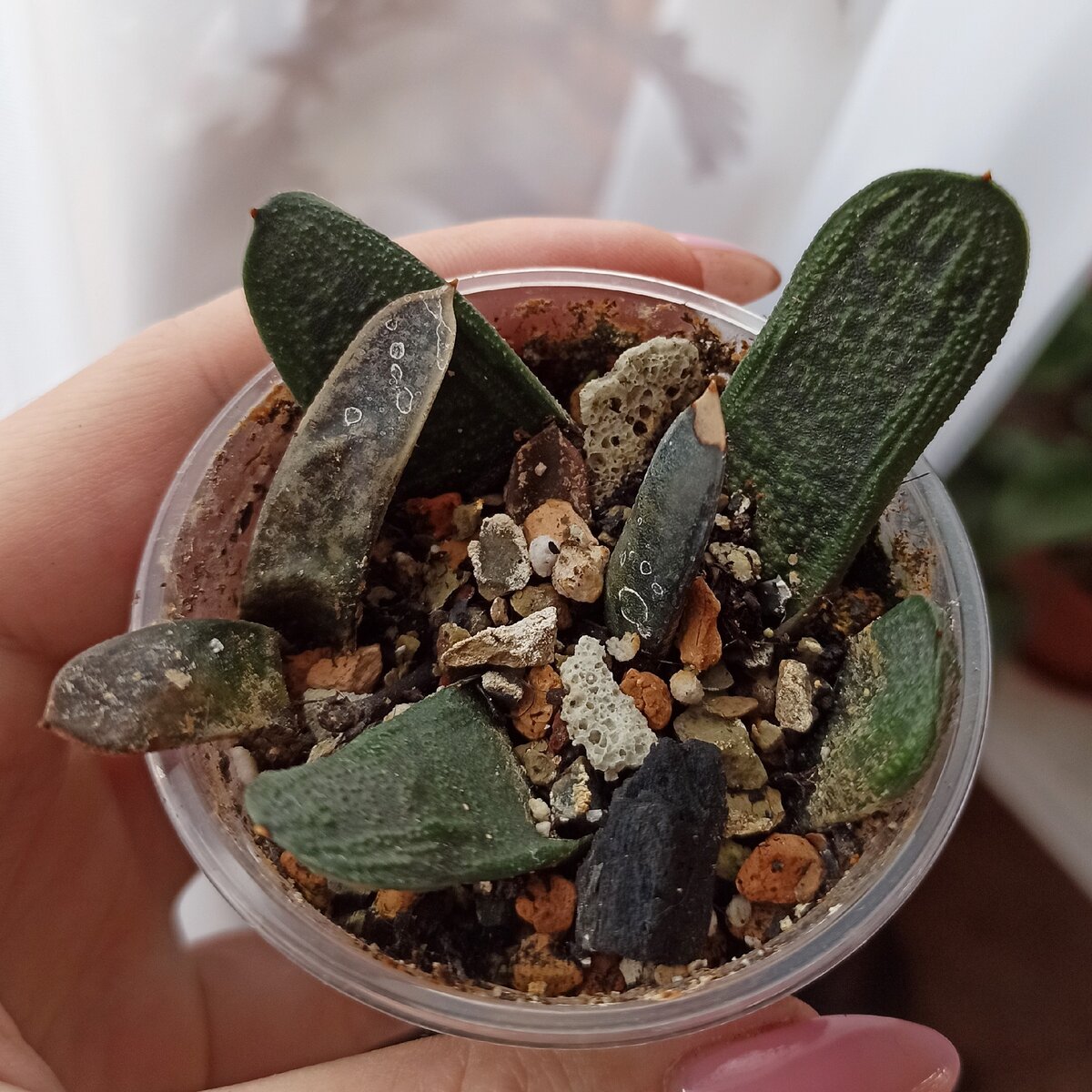 Фото от 24.10.2020