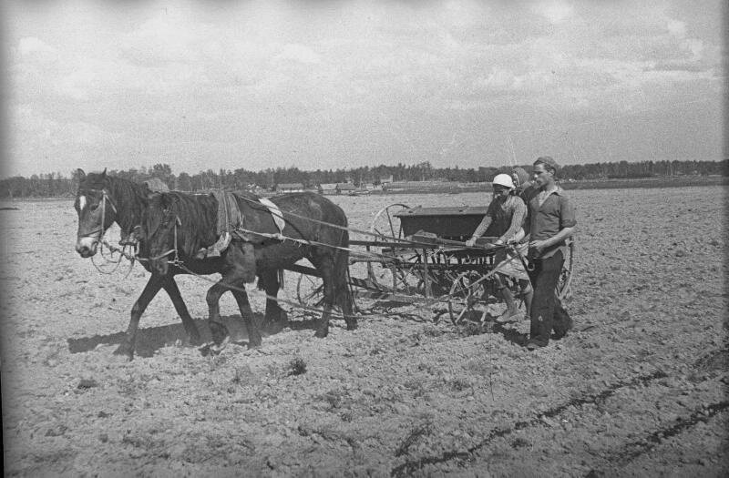 Сергей Васин. Школьники на посевной. Дата съемки 1942 год. МАММ / МДФ 
