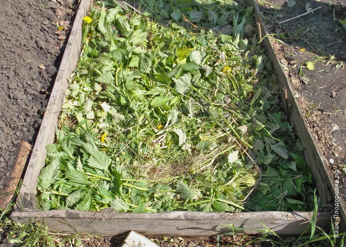 фото yznalraskazidrygomy.mirtesen.ru