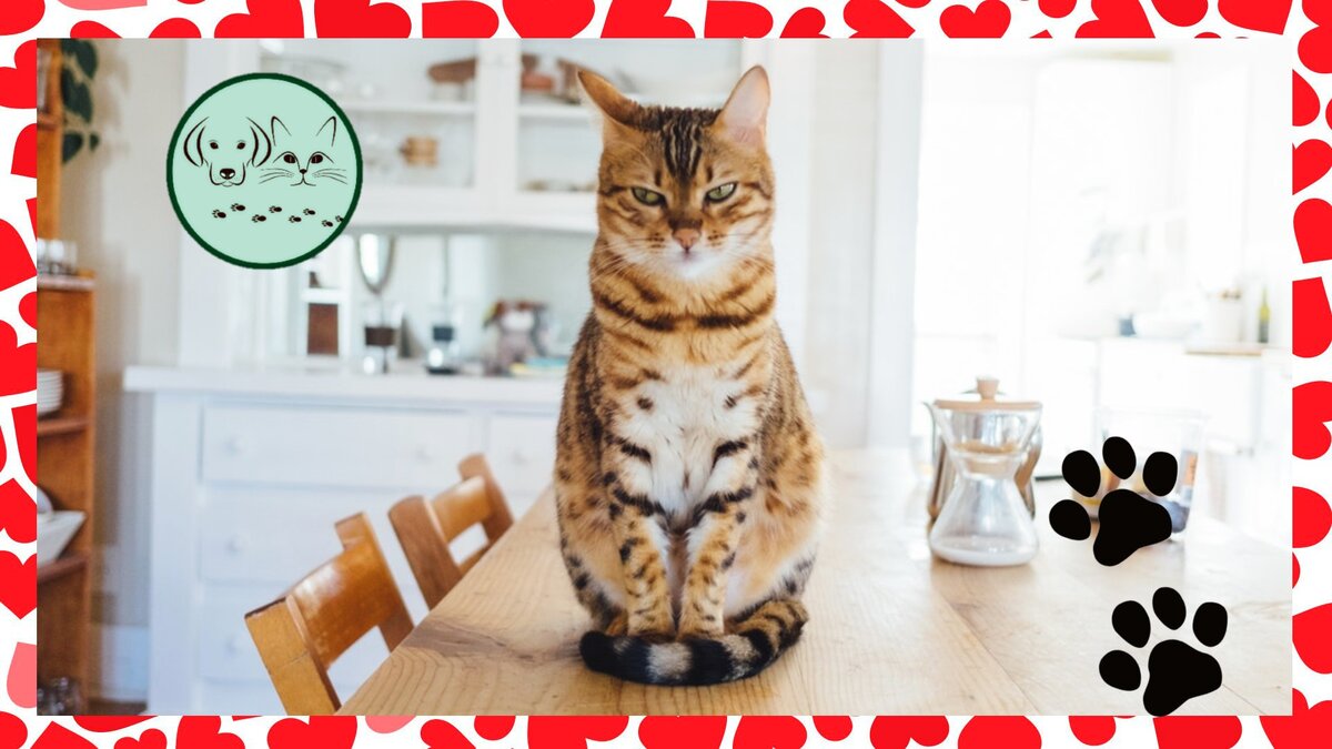 Ставьте лайки, подписывайтесь на канал