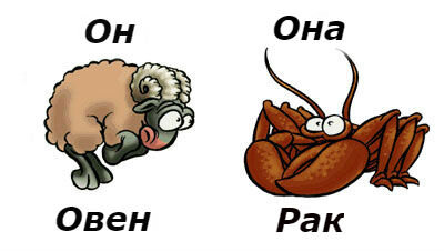 фото из интернета