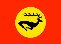 Флаг России. Проект П.Зарифуллина