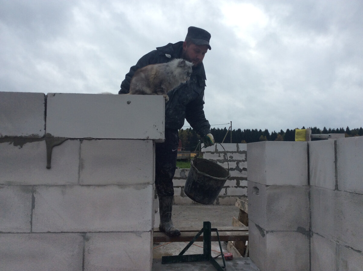 кот активно помогал