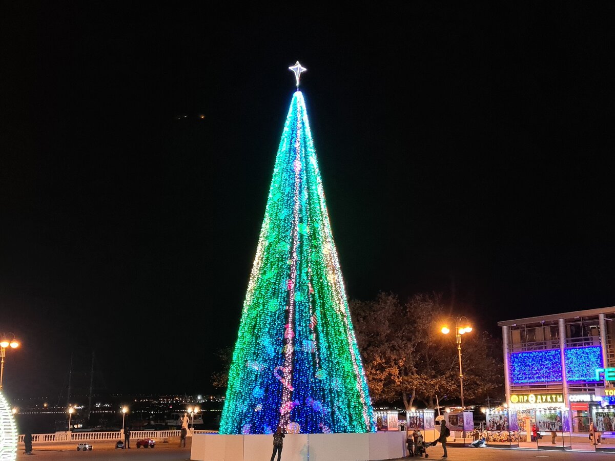 елка в абакане 2022 черногорский парк. дмитрий бородин агро. празднование нового года. елка в черногорском парке абакан. новогодние елки г красноярск.