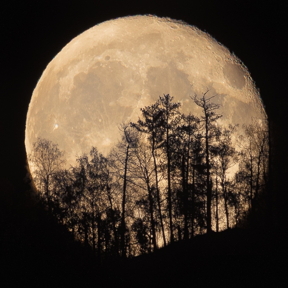 Картинка свободный доступ интернета. 