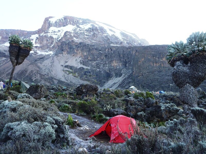 холодная африка