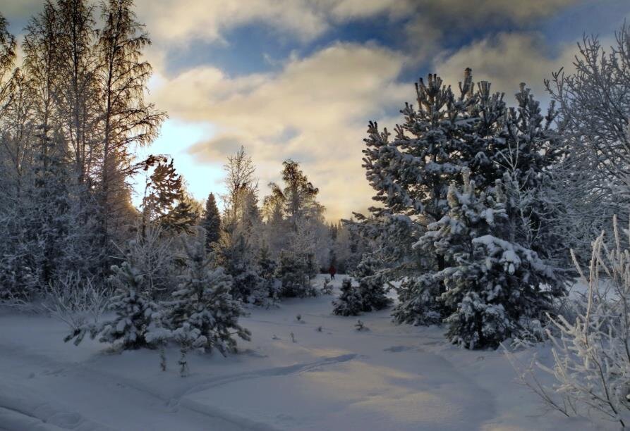 Фото — 1zoom.ru