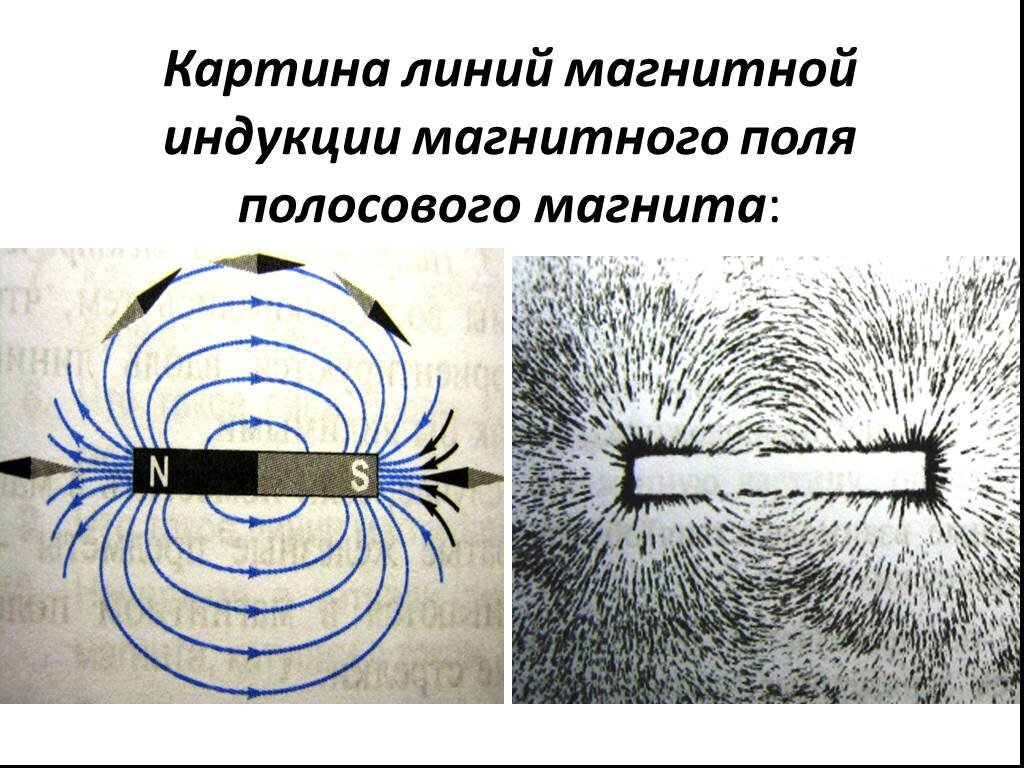 На рисунке представлен картинки линий магнитного поля от двух полосовых магнитов