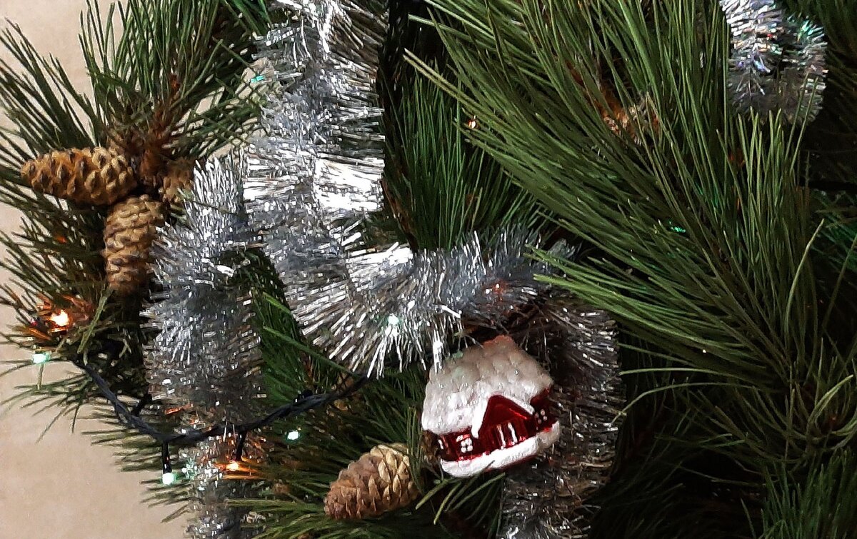 Посмотрите внимательно на шишку, рядом с игрушкой-домиком.