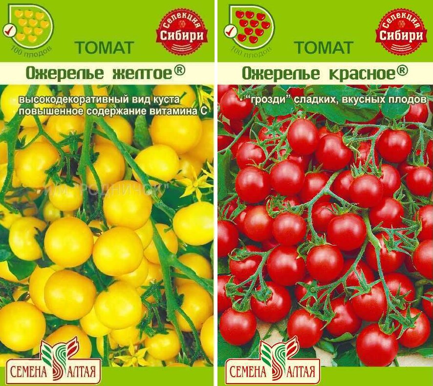 красное ожерелье алтая томат. томат черри ожерелье желтое. ожерелье красное томат семена алтая. томат йетина мать семена алтая купить. томат ожерелье красное характеристика и отзывы.
