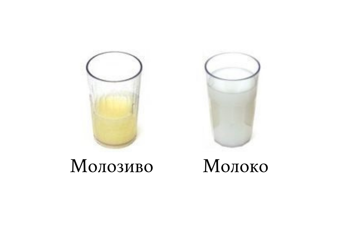 Молозиво и молоко