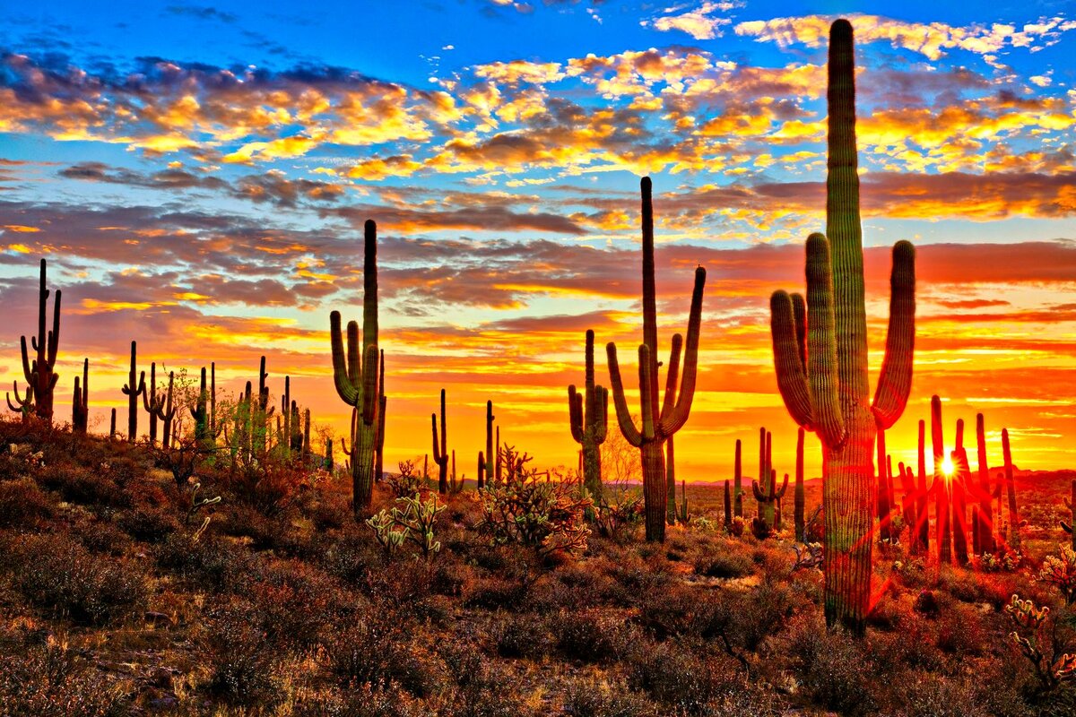 Оригинал фото на pinterest.com