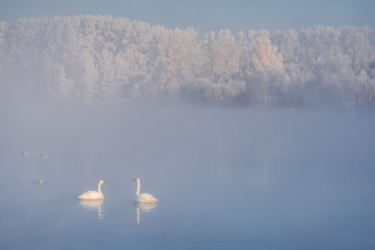 Фото: Екатерина Васягина, ru.wikipedia.org