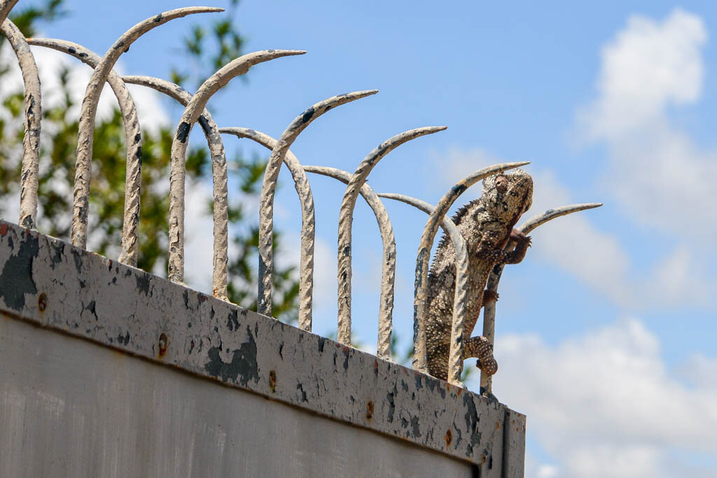 2. Прет через забор. 