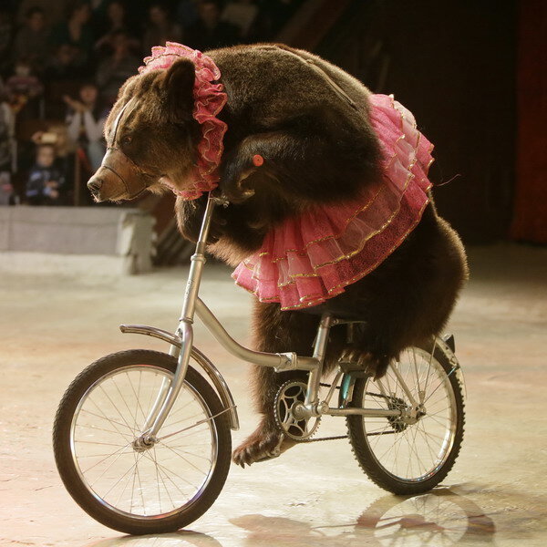 Photos from the Internet