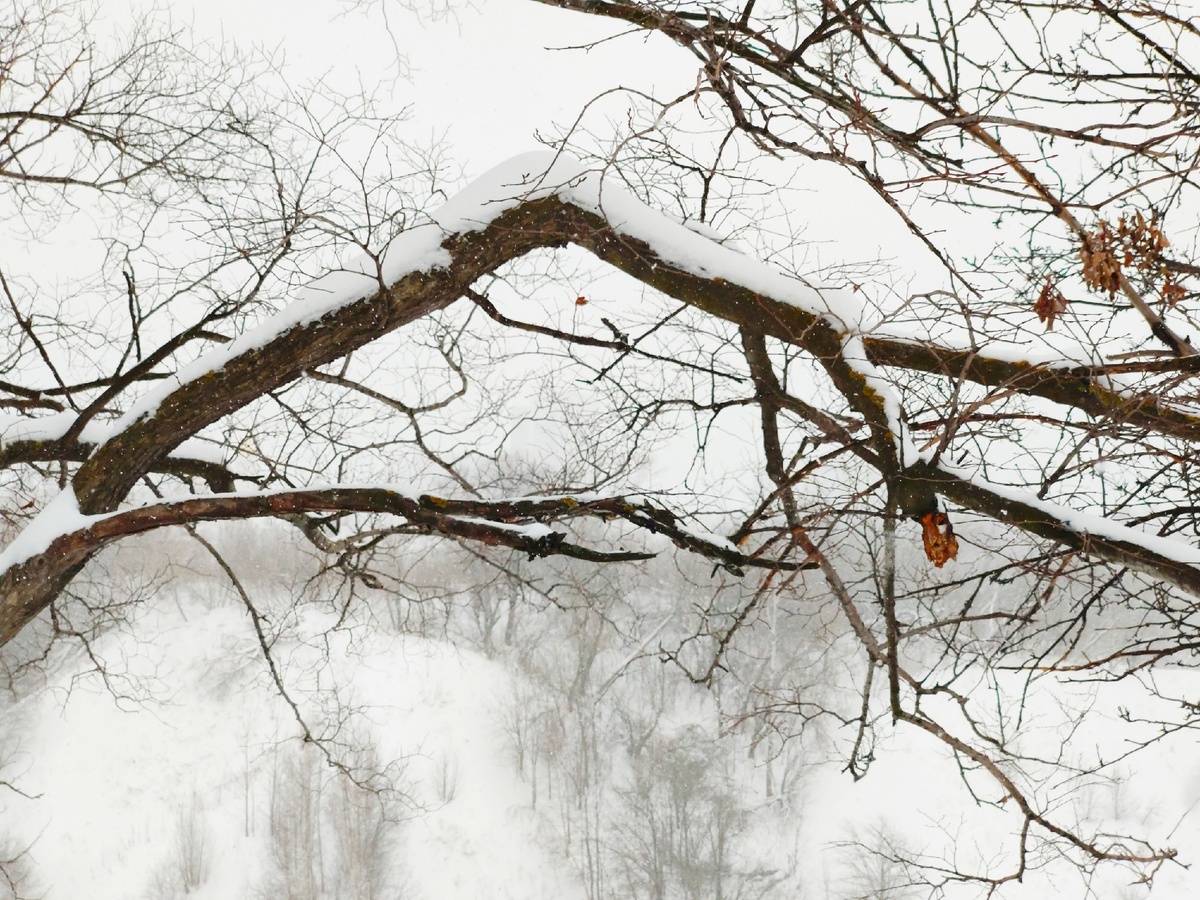 Фото из личного архива