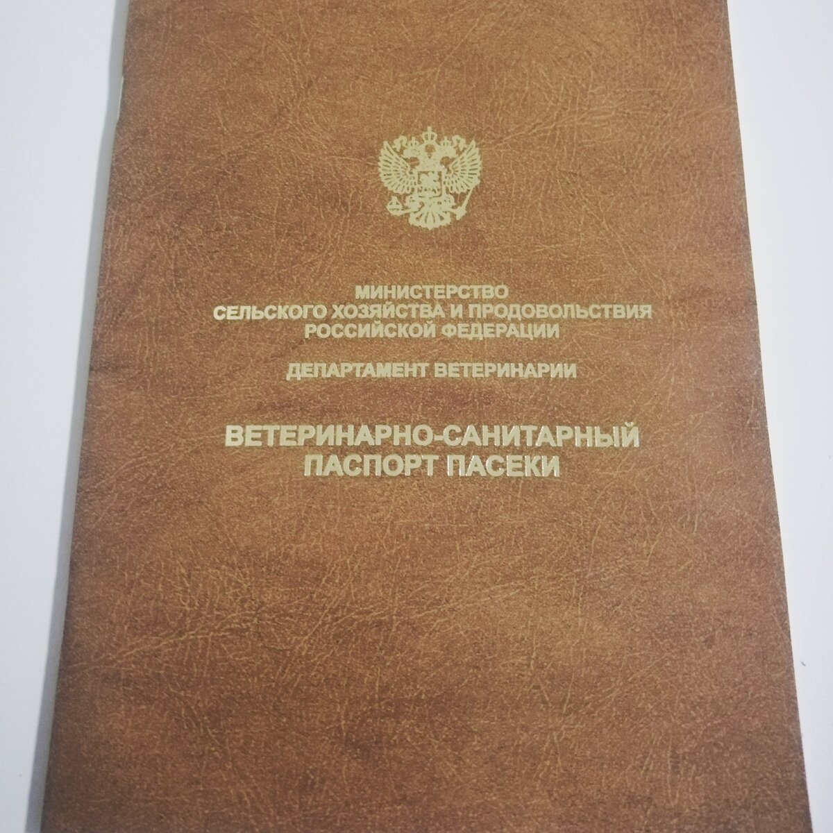 Вот так выглядит паспорт.