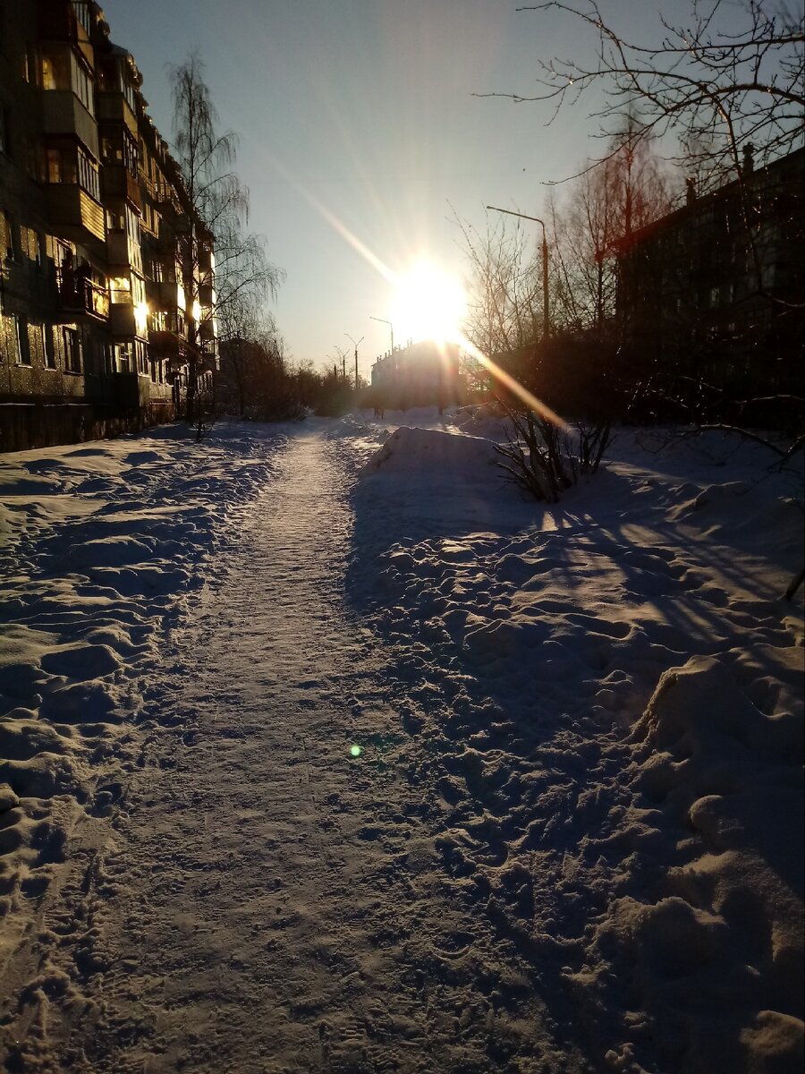 Морозный и солнечный день в Архангельске. Личное фото автора.