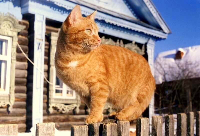 ... кто тут "временные"?... слазь!  - кончилось ваше время!!... 