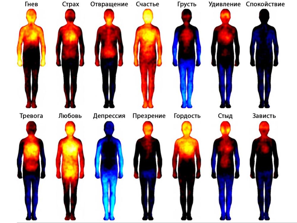 На рисунке: особенности "теплового" изображения человеческого тела в зависимости от испытываемой эмоции