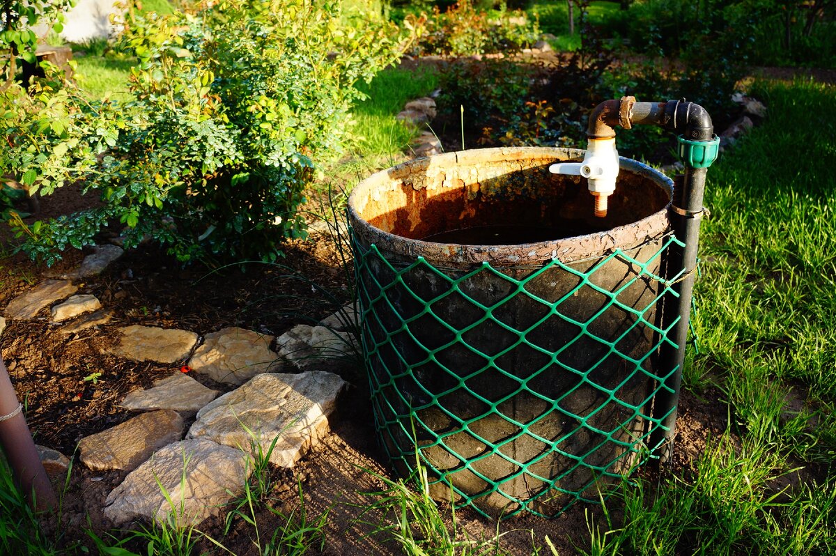 Бочка среди розовых кустов - как инородный предмет. 