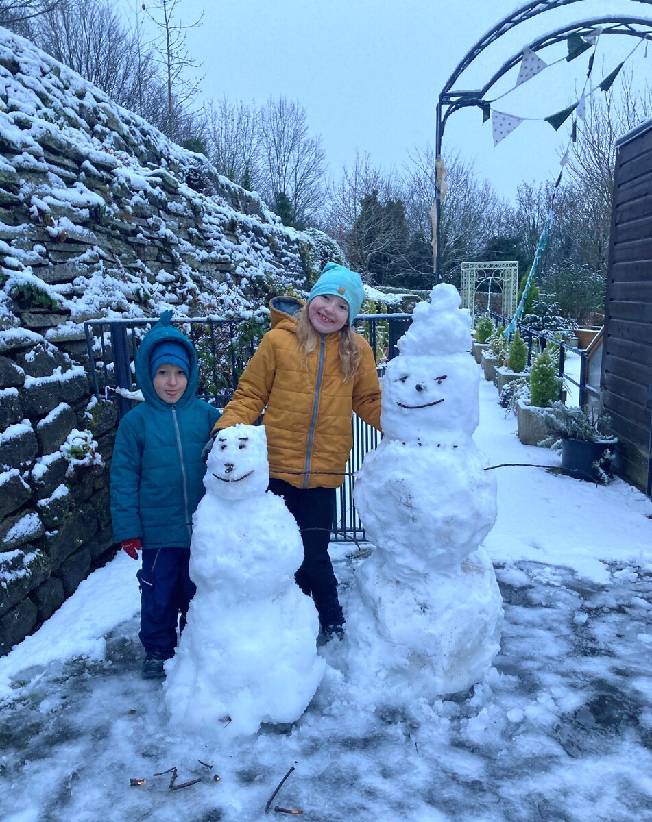 еще одни snowmen и тоже со следами "увядания"