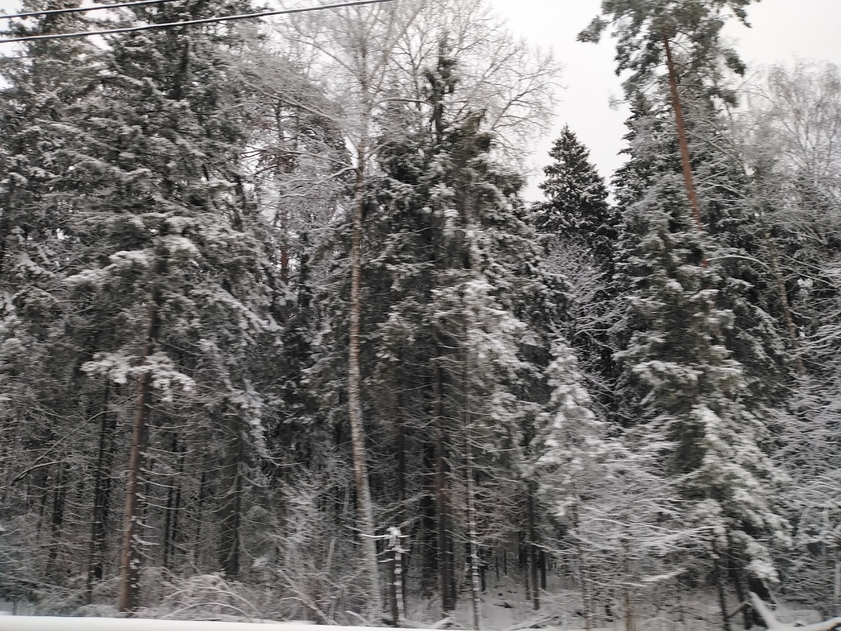Фото из личного архива