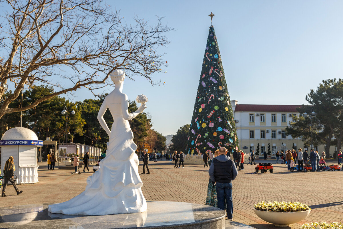 Геленджик центральный сквер. Белая невесточка геленджик. Геленджик сегодня. Геленджик центральная площадь. Загс город геленджик.